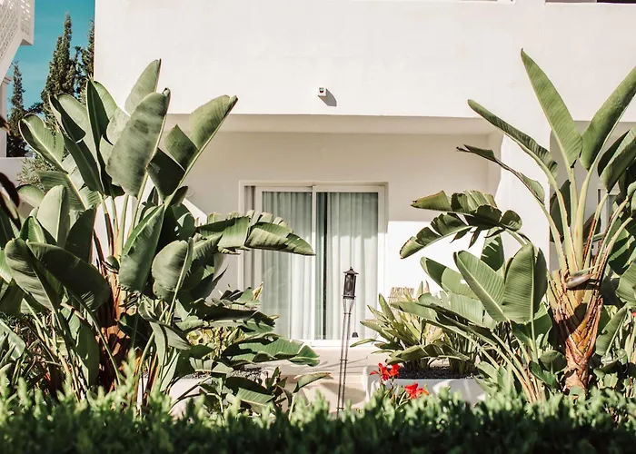 Hotel Spa: Hotel Boutique&Spa Las Mimosas Ibiza